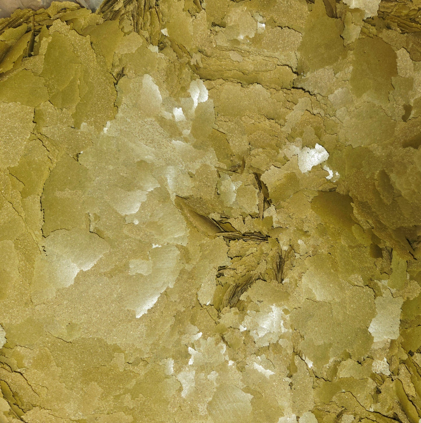 SPIRULINA FLAKE  1/2 LB