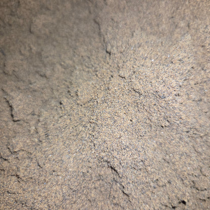 FISH FRY STAPLE-Powder [4oz]