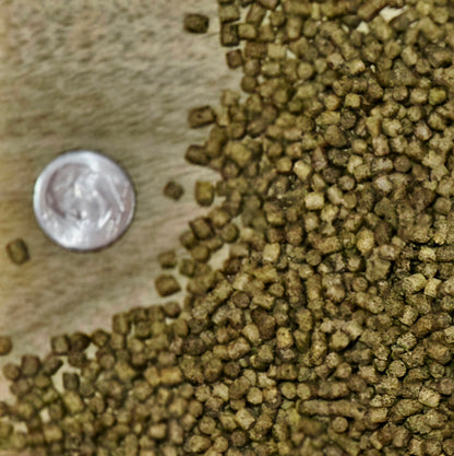 PREMIUM FISH FOOD STAPLE-Slow Sinking Pellet [1LB]