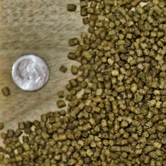 PREMIUM FISH FOOD STAPLE-3mm  Floating Pellet [4oz]
