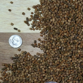 PRO-MIX STAPLE 2-3 mm Pellet w/ Probiotics [4oz]