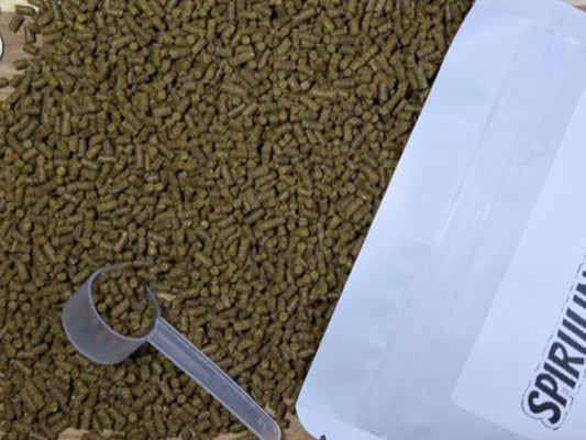 SPIRULINA STAPLE-2.4 mm Pellet [4oz]